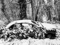 Motor Death_Islington Graveyard.jpg