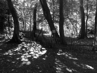 DSCF0895.JPG