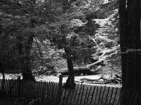 DSCF0898.JPG
