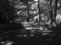 DSCF0908.JPG