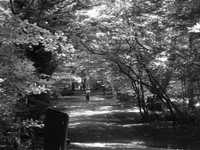 DSCF0910.JPG