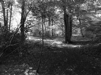 DSCF0911.JPG