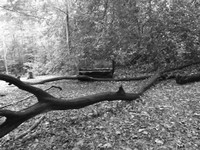 DSCF0931.JPG