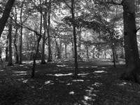 DSCF0934.JPG