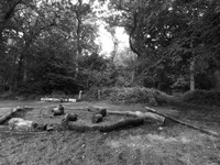 DSCF0952.JPG