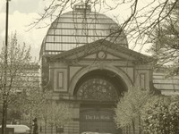 AllyPally Icerink - Nostalgia.jpg