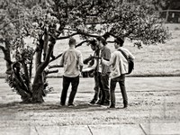 Jammin in The Park_Alley Pally Sept2013.jpg