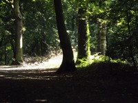 DSCF0889.JPG