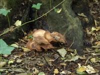 DSCF1028.JPG