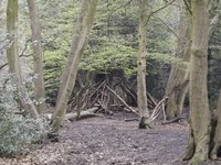 Hideaway- Highgate Woods.JPG