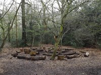 The Meeting Place-Highgate Wood.jpg