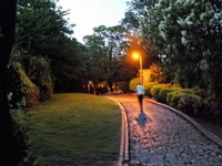 Ally Pally Park copy.jpg