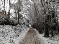 DSCF5891.JPG