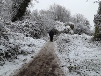 DSCF5893.JPG