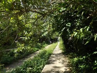 DSCF6741.JPG