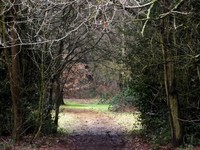 Hampstead Heath.jpg