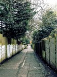 North London Alley.jpg