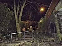 Steps from the old rail line to Cranley Gardens.jpg