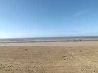 DSCF5277.JPG