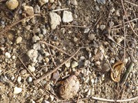 DSCF5325.JPG