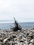 Lyme Regis Beach.jpg