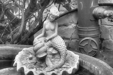 GArden Mermaid B_W_slight Glow.jpg