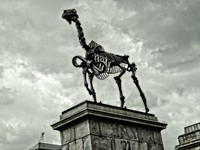 Gift Horse 4th Plinth Trafalgar Sq_2.jpg